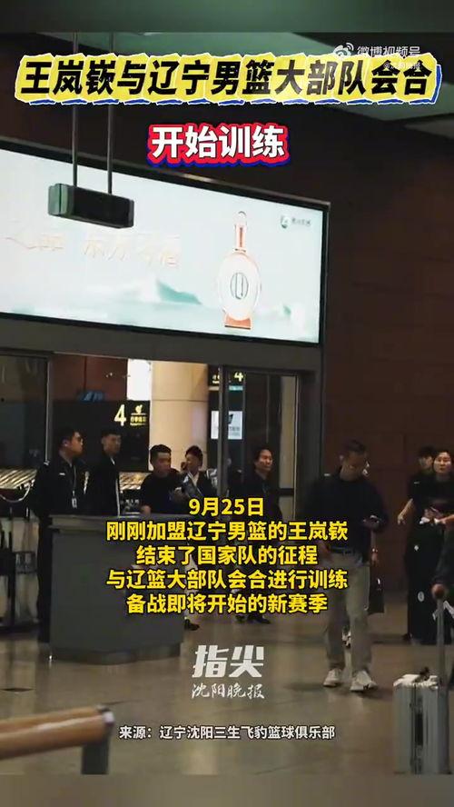 沈阳晚报视频,聚焦城市生活瞬间