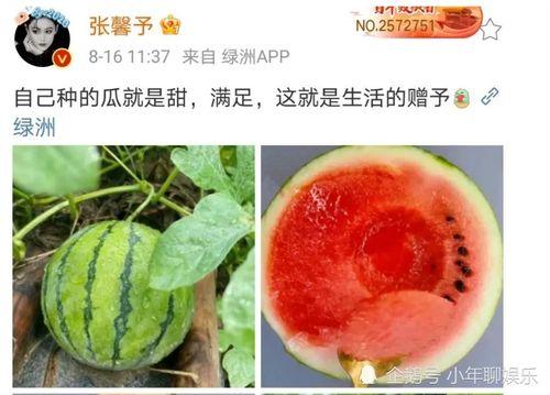 最近娱乐圈有什么瓜吃,明星绯闻、作品动态一网打尽